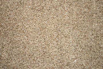Carpet or rug texture. Abstract background.