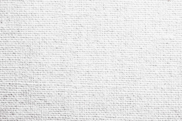 White canvas texture.