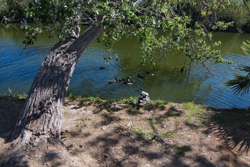 Canyamel river wetlands