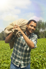 Potato farmer at potato plantation