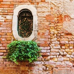 Fragment of red vintage old brick wall with round window and green ivy. Textural background. Venice. Italy