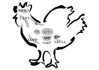 鶏肉　内臓部位の名称