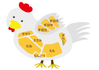 鶏肉　部位の名称