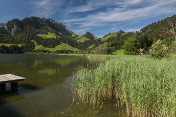 Die Schönheit der Natur in der Schweiz