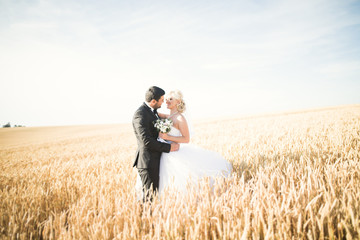 Elegant stylish happy blonde bride and gorgeous groom posing in wheat field on the background blue sky