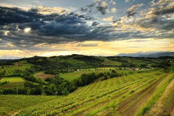 Fotobehang Oostelijke heuvels van Friuli Venezia Giulia (Italië) © gianfranco pucher