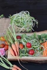 Green young sunflower seedling and tomatoes salad.