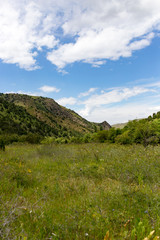 Fototapeta na wymiar Nature in the mountains of Kazakhstan