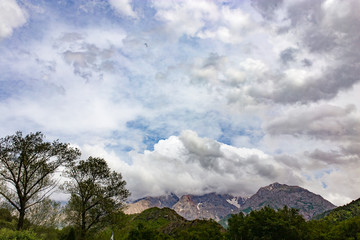 Nature in the mountains of Kazakhstan