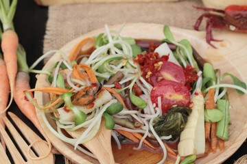 Salad spicy young sunflowers seedling is delicious.