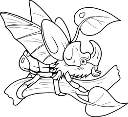 rhinoceros beetle
