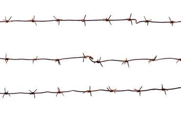 barbed wire on a white background