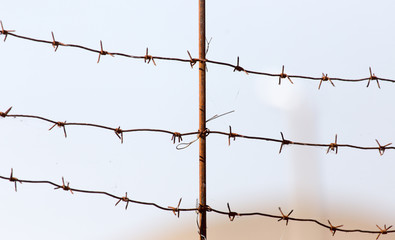 barbed wire on the sky background