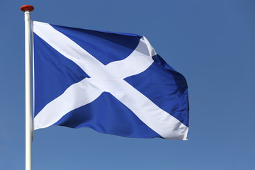 Scottish flag blowing in the wind
