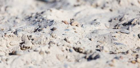 stones white sand as background