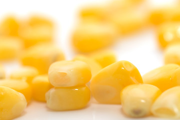 corn on a white background. close-up