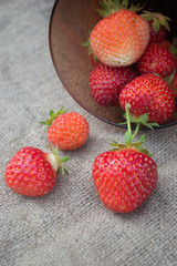 Fresh ripe strawberry on a background of burlap