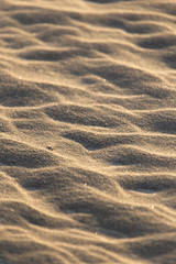 sand in nature as a background