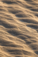 sand in nature as a background