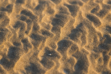 sand in nature as a background