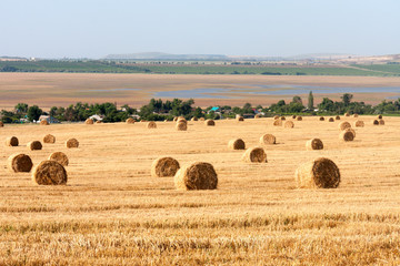 Fototapeta premium Summer Field with Hay Bales as background