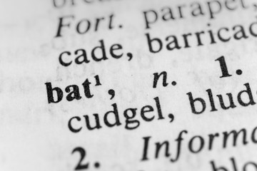 Bat