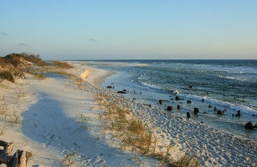 Florida coastine beach