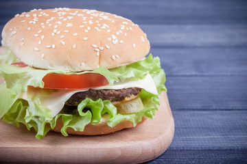Burger on a cutting Board closeup