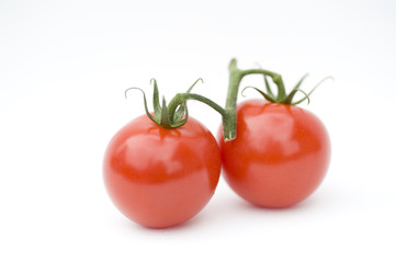 Tomatoes