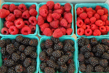Black and red raspberries