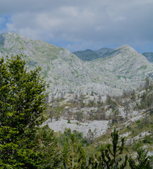 Beautiful rocky mountains