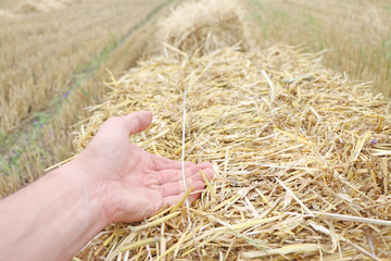 Strong man's hand holding a compressed bale