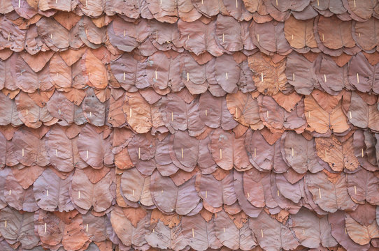 Walls made of teak leaves,close up background and texture of decorative dry leaves on traditional wall of cottage,for background