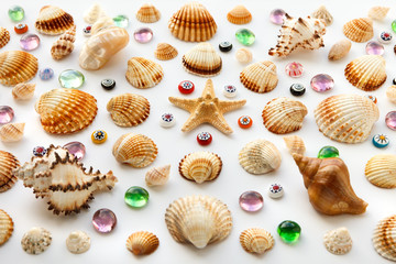 composition of different sea shells and glass beads on a white background.