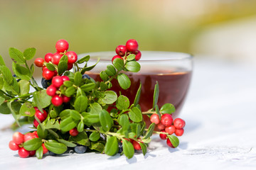 Cup of tea, cranberries and blueberries. Selective focus
