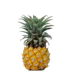 Single pineapple isolated on white background, square type