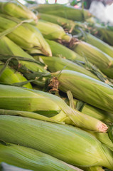 Farmers Market Corn