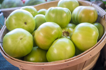 Fresh Green Tomatoes