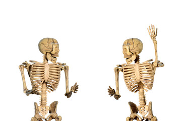 Skeleton action, human behavior with clipping path