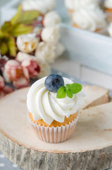 Summer coconut cupcake with blueberries and mint flavoured cream. Homemade.