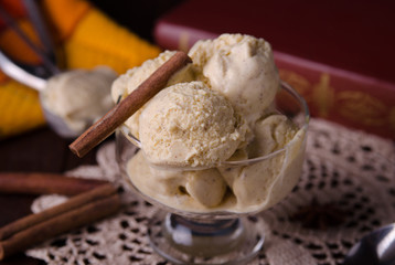 Homemade organic Eggnog Ice Cream with cinnamon and spices. Selectiv focus.