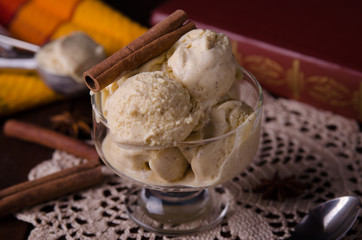 Homemade organic Eggnog Ice Cream with cinnamon and spices. Selectiv focus.