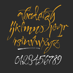 Vector alphabet. Hand drawn letters. Letters of the alphabet written with a brush.