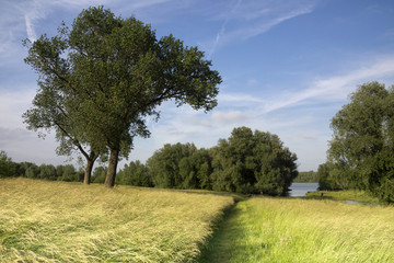 floodplain near Vuren