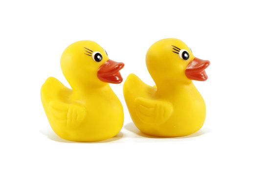 Rubber Duck in White Background