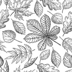 Seamless vector pattern with autumn leaves. Hand drawn detailed