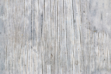 wood texture. background old panels