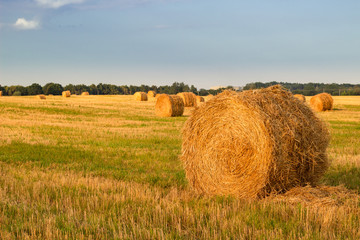 Fototapeta na wymiar Dry hay stacks on countryside field during harvest time - sunset