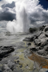 Geyser at Rotorua