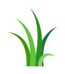 Grass vector illustration.